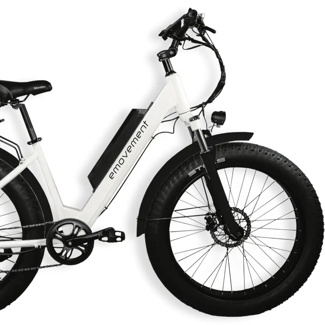 E-MOVEMENT E-BIKE - ARIES 250W 14AH 48v BATTERY – Fat Tyre Mountain E-Bike in Black