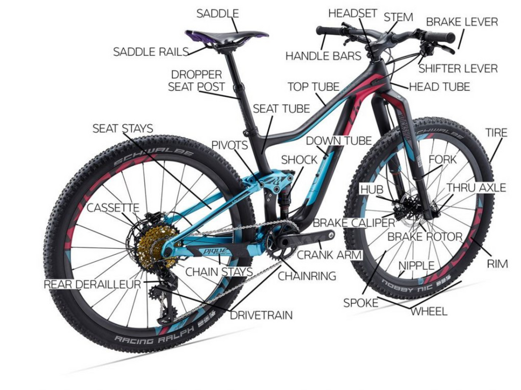 Weston bike shop sale