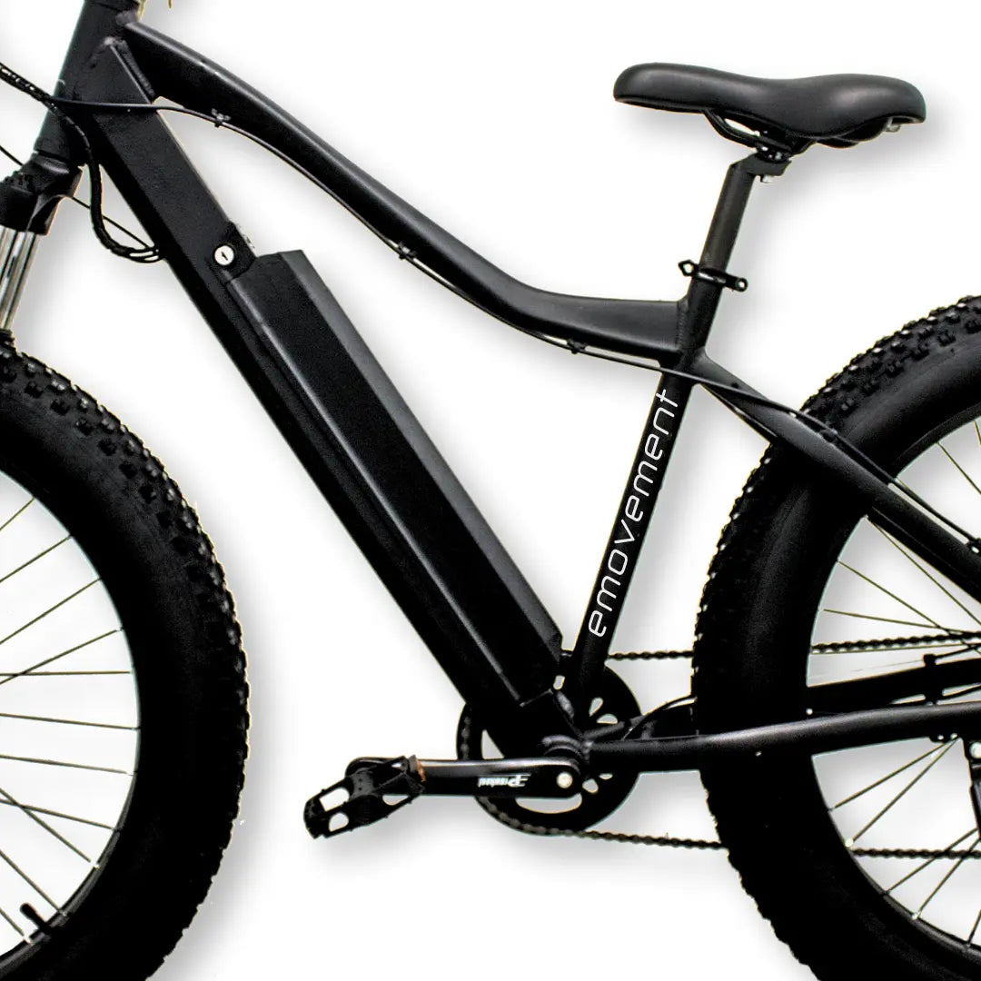 Cheapest fat top tire bike