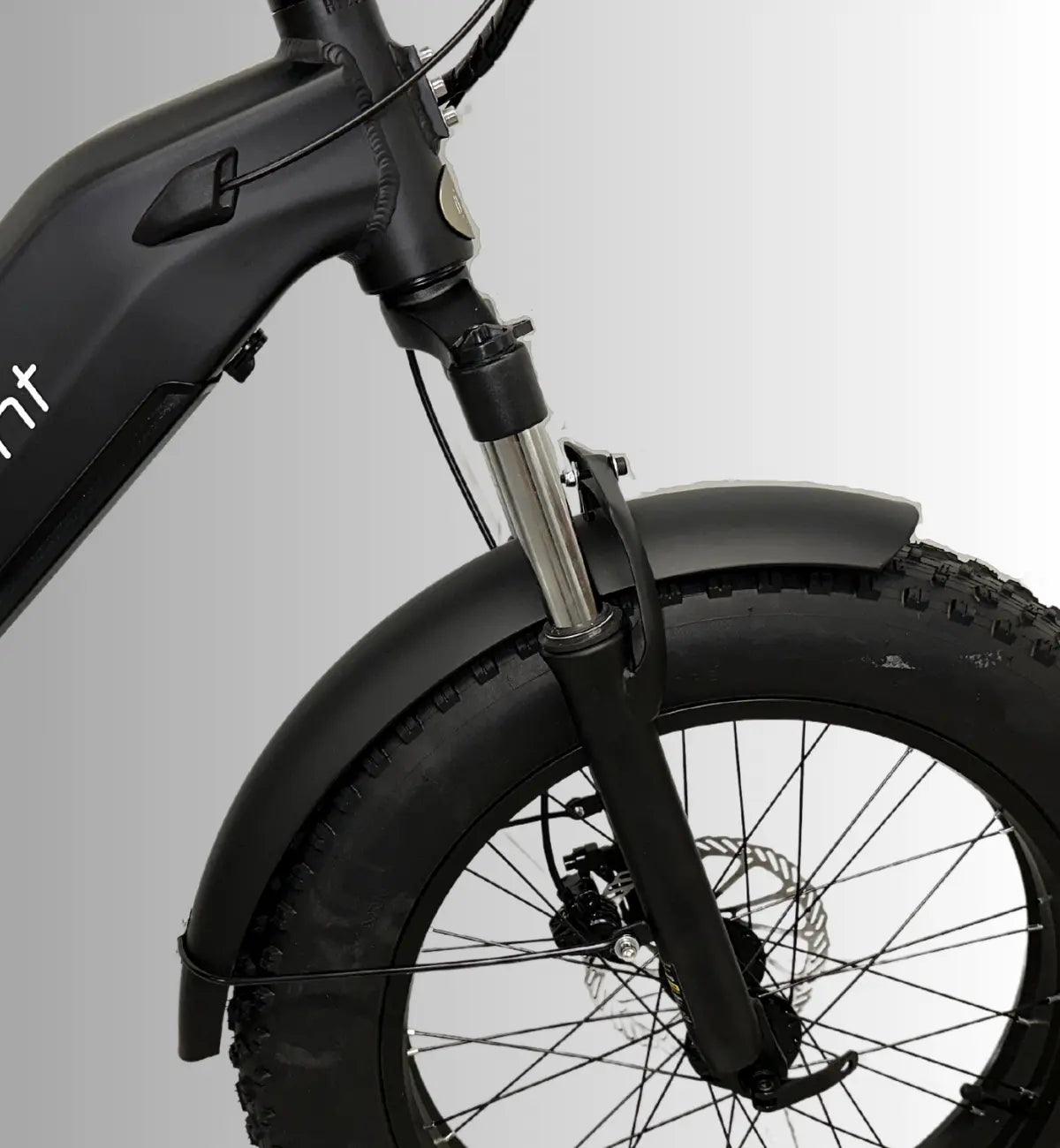 E-MOVEMENT E-BIKE - RAVEN 250W 20AH BATTERY – Long Range Step-Through Fat Electric Bike