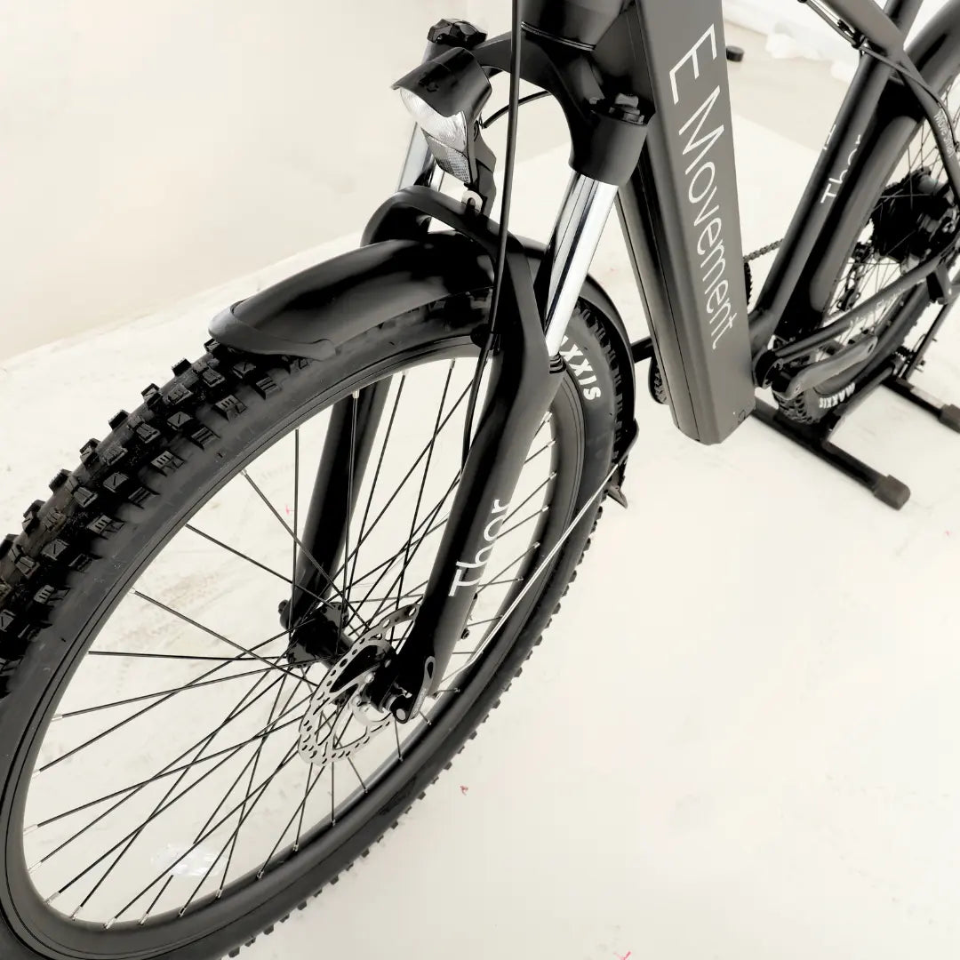 E motion best sale electric bike